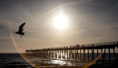 The ocean off California keeps breaking heat records