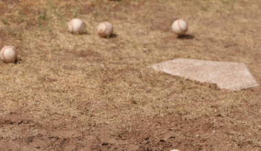 High school baseball and softball: Friday's scores