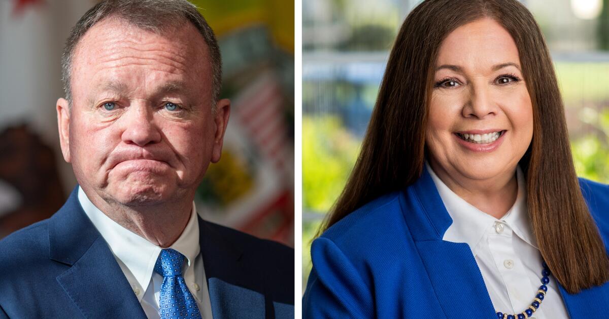 How sensitive LAPD files got leaked online — and what happens next