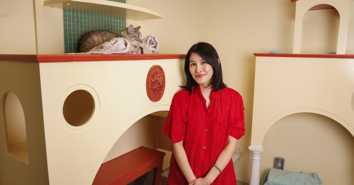 Rachel Khong on 'My Dear You,' the limits of AI and finding beauty in the absurd
