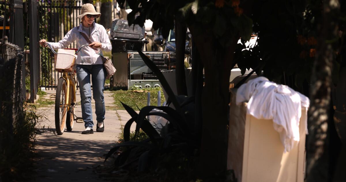 She's a housekeeper with a side job: cleaning the trashed streets of her own neighborhood