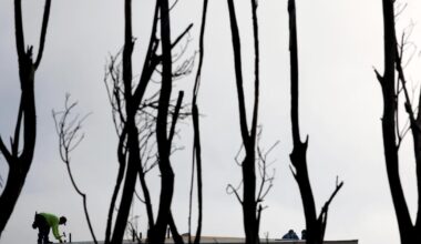 A truce appears in the 'Hands Off Our Yards' wildfire landscaping wars