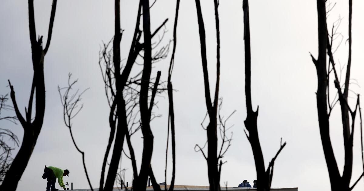 A truce appears in the 'Hands Off Our Yards' wildfire landscaping wars