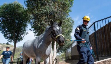 How Orange County firefighters train for 1,000-pound emergencies
