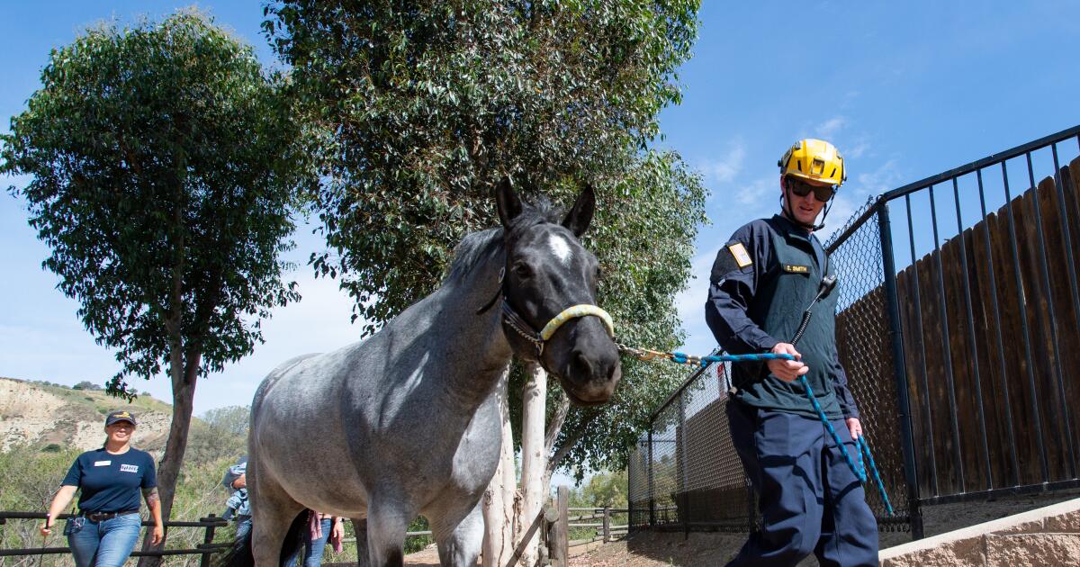 How Orange County firefighters train for 1,000-pound emergencies