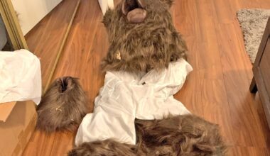 LA-area insurance fraudsters who used a bear suit to attack luxury cars are convicted