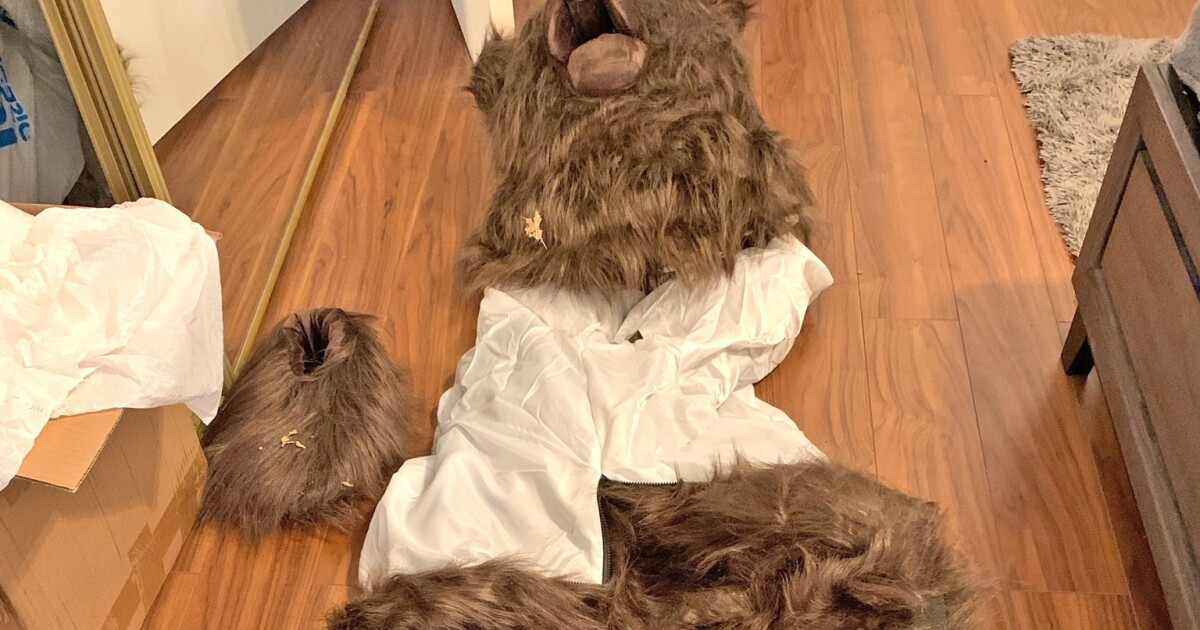 LA-area insurance fraudsters who used a bear suit to attack luxury cars are convicted