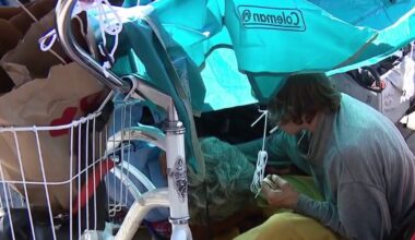 Venice homeless encampment highlighting divisions at Los Angeles City Hall