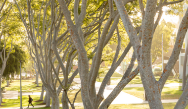 BEACONS: Lighting the Path for Expanded Sustainability Research