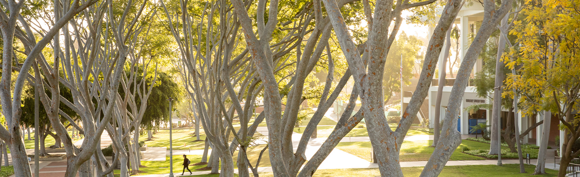 BEACONS: Lighting the Path for Expanded Sustainability Research