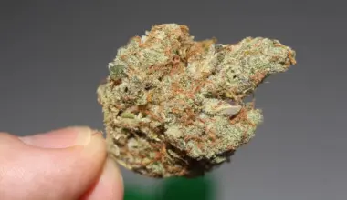 California Lawmakers Vote To Allow Drive-Thrus At Marijuana Dispensaries