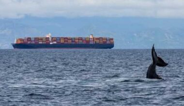 Port of Oakland container numbers rise in March