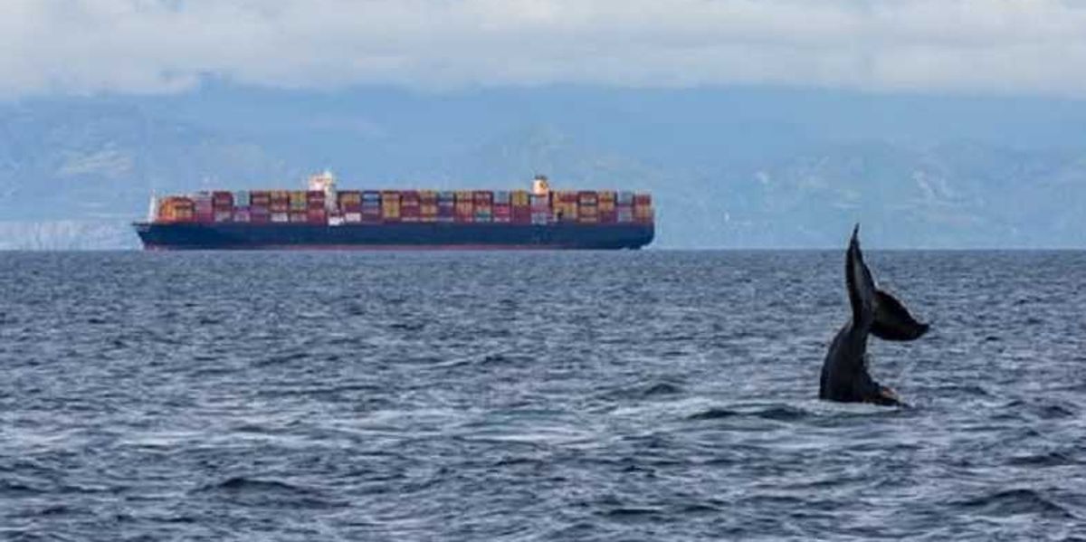 Port of Oakland container numbers rise in March