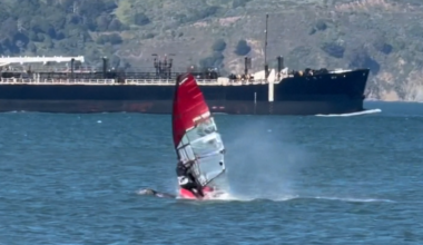 Astonishing video catches windsurfer crash into gray whale in Calif.