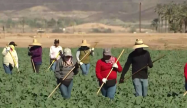 How California advocacy groups help shield farmworker women from violence
