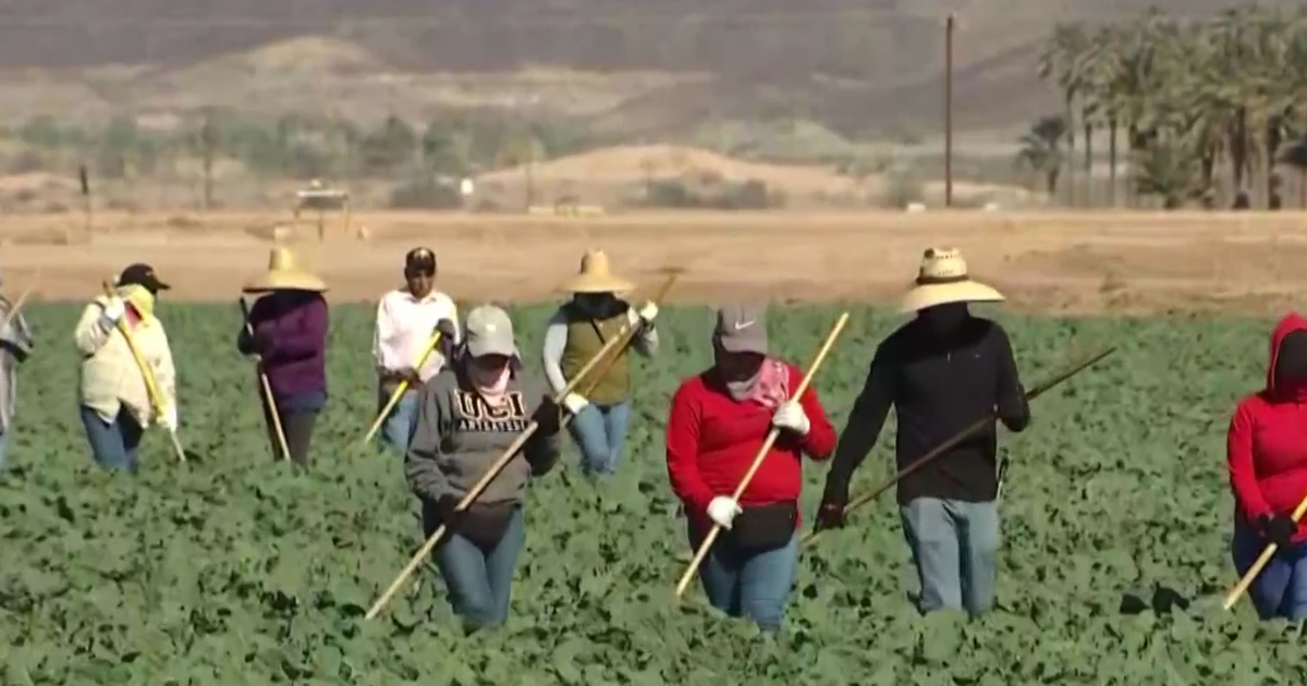 How California advocacy groups help shield farmworker women from violence