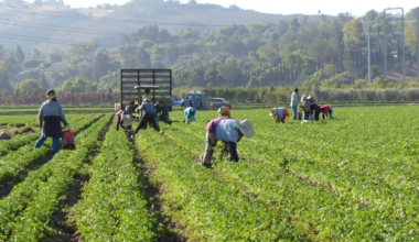 California Bill Aims to Ban PFAS Pesticides