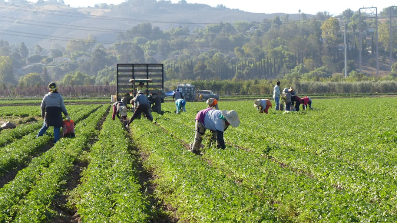 California Bill Aims to Ban PFAS Pesticides