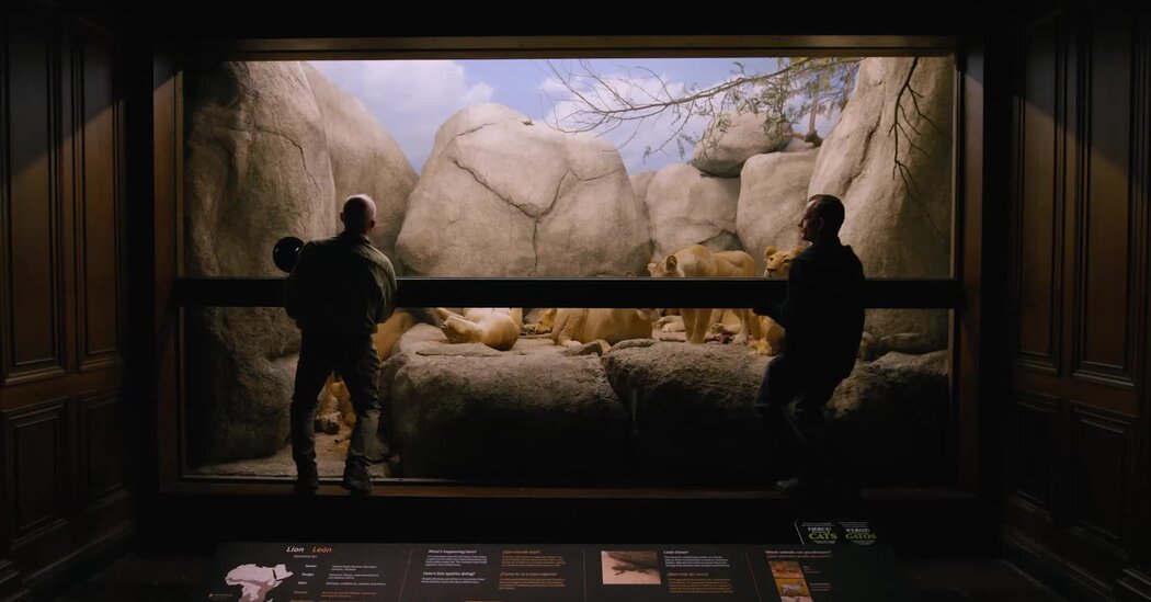 A Taxidermist Gives Dead Animals a New Life