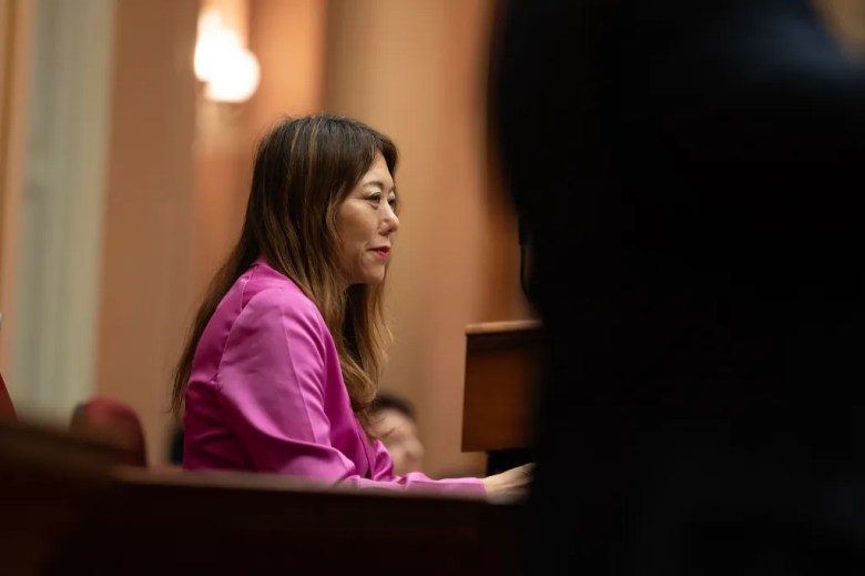 A person in a bright pink blazer sits at a desk in a legislative chamber, shown in profile as they listen attentively, with warm lighting and blurred figures in the background.