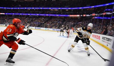 Mar 26, 2025; Anaheim, California, USA; Boston Bruins defenseman Parker Wotherspoon (29) clears the puck as Anaheim Ducks center Mason McTavish (23) moves in during the second period at Honda Center. Mandatory Credit: Gary A. Vasquez-Imagn Images