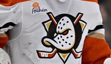 Ducks' Forward Could Be Great Addition for NY Rangers