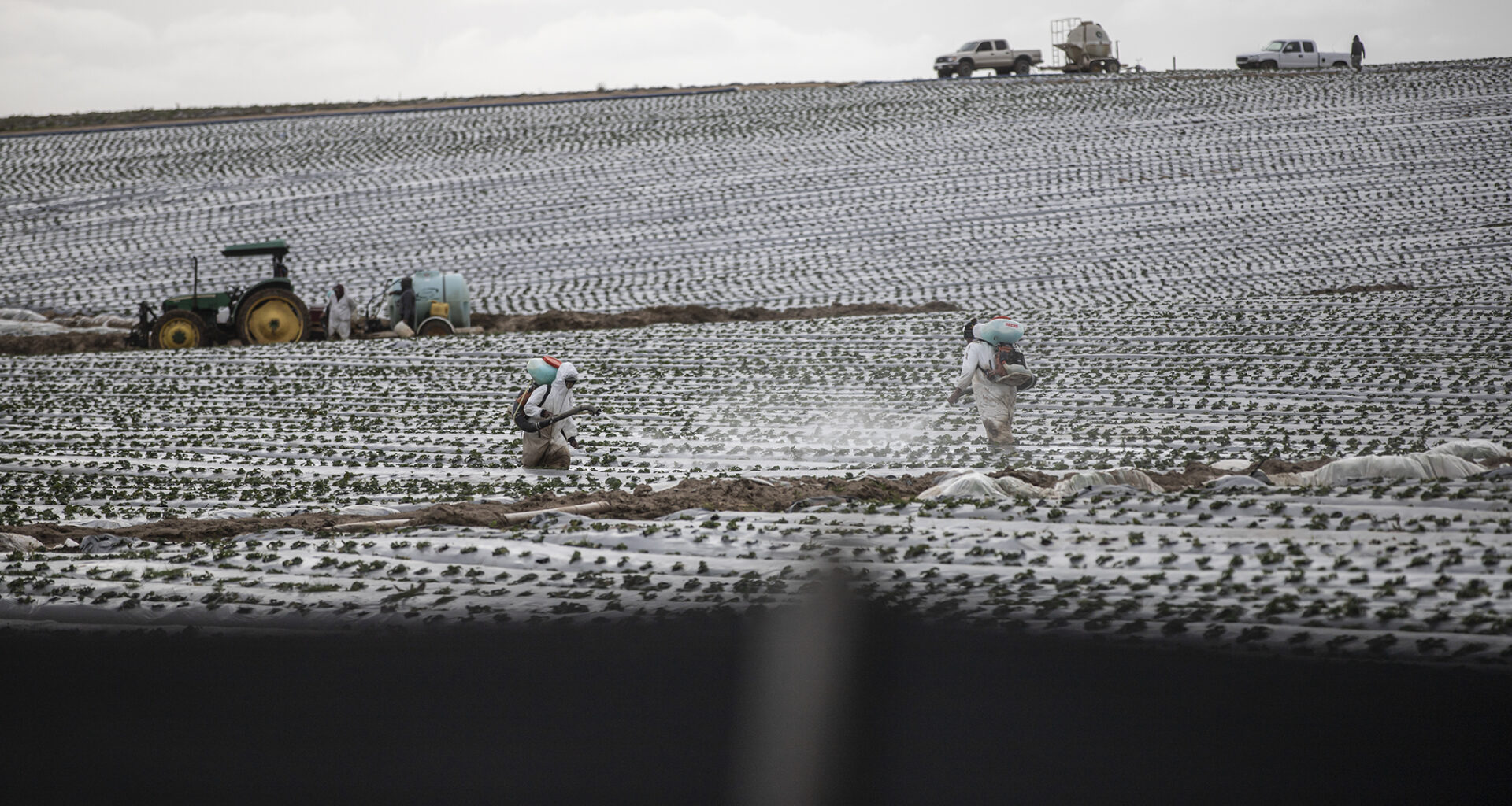 CA lawmakers may limit ‘forever’ pesticides in foods