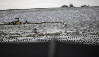CA lawmakers may limit ‘forever’ pesticides in foods