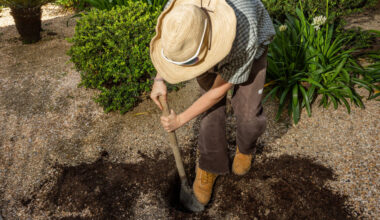 The Race Is On to Find the Treasure Buried in San Francisco