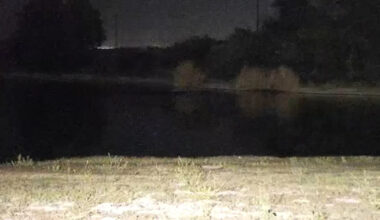 Man pulled from pond in southwest Fresno, officials say