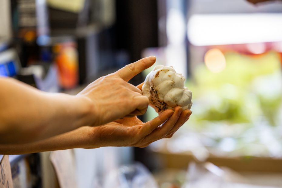 A person holds and points at a head of garlic with visible dirt on the roots, indoors with blurred background.
