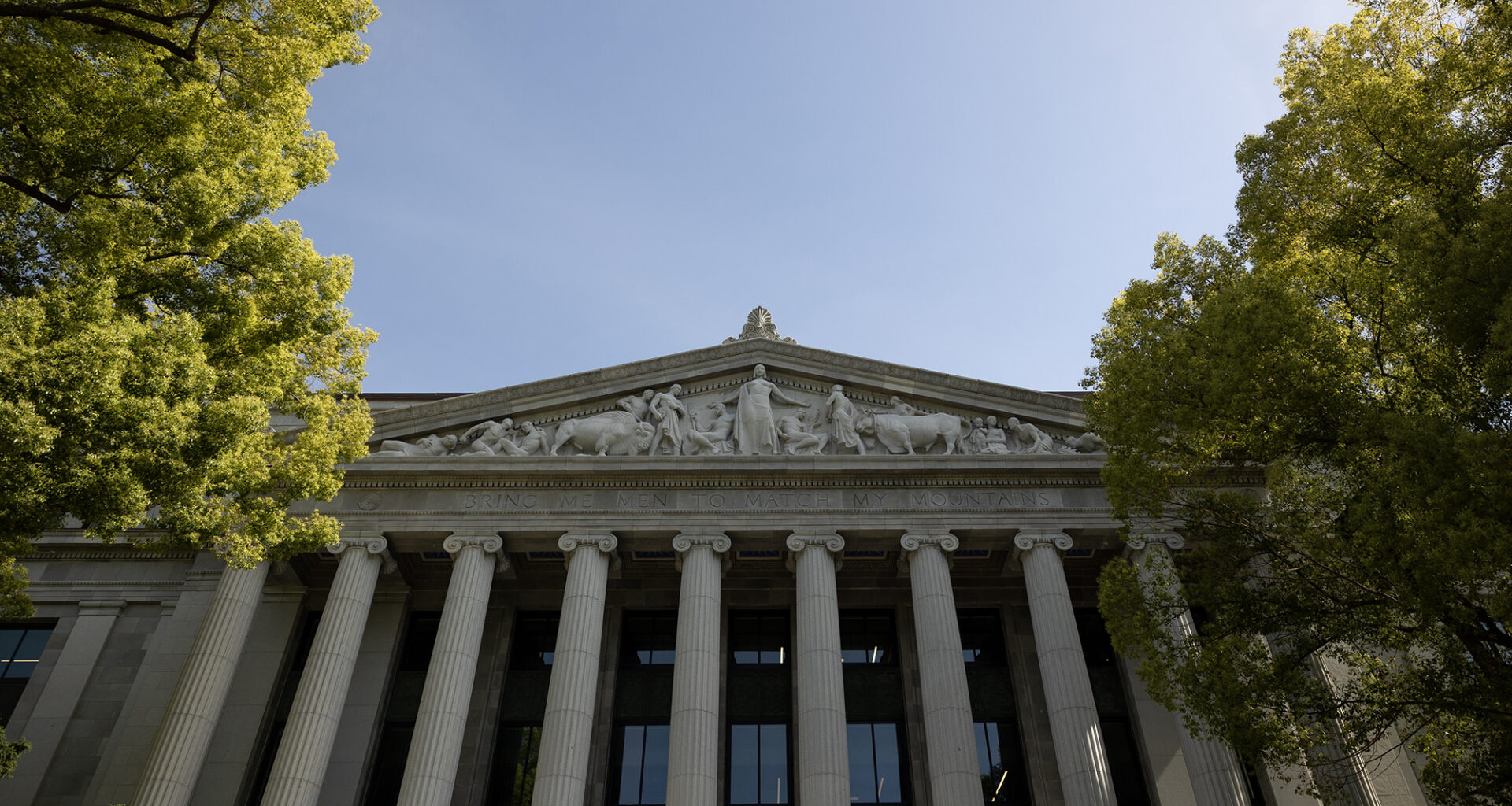 Who will be California's next state treasurer?