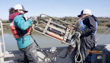 Measuring the health of the San Francisco Bay – NBC Bay Area