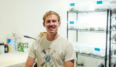 Small business in Sacramento specializes in breeding and selling isopods