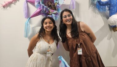 Sacramento art exhibit puts a SMASH!-ing spotlight on piñata culture