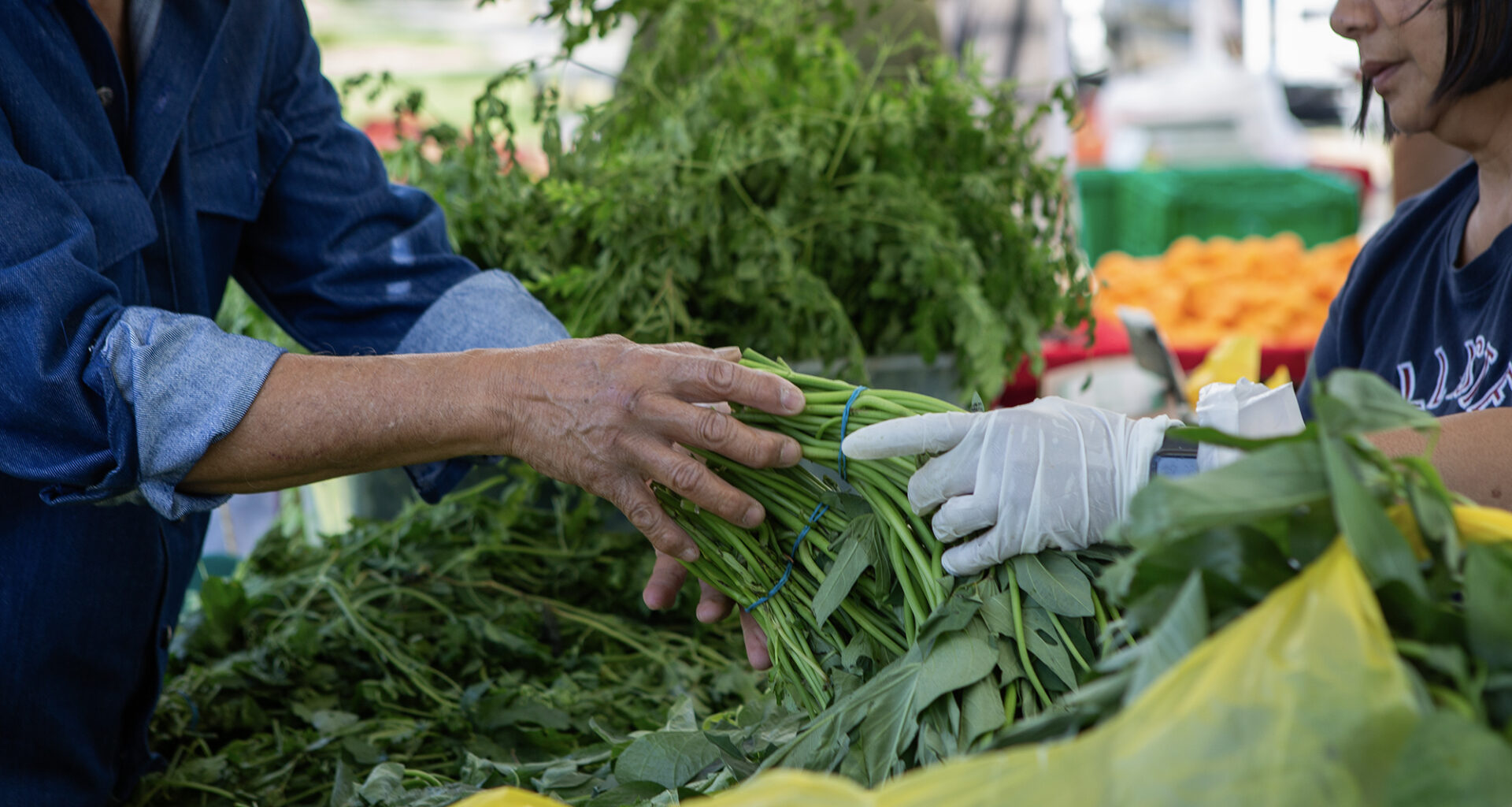 CA farmer fears for farm and neighbors if a program dies