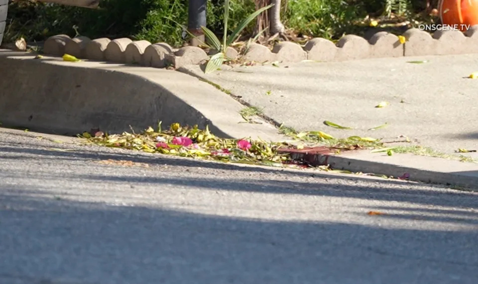 Blood was seen dripping from a nearby curb when officers were on the scene talking with witnesses. onscene.tv