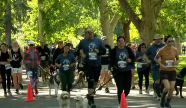 Feet (and paws) hit the pavement for annual Barks & Brews 5K race