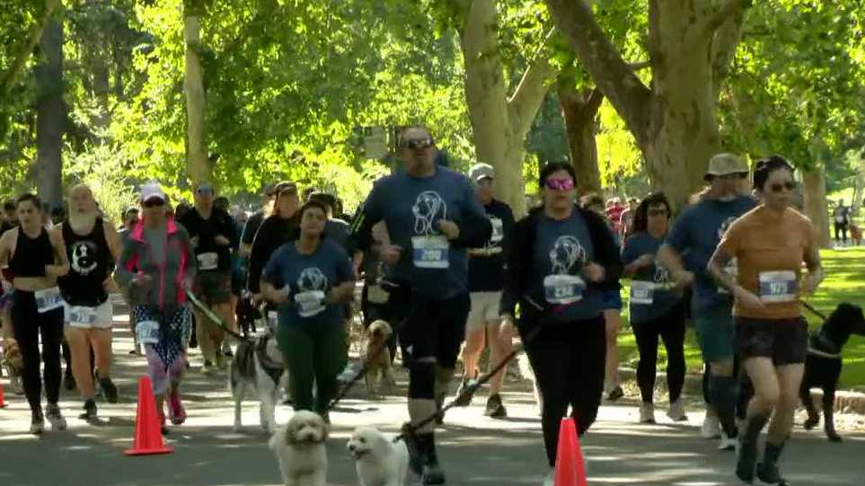 Feet (and paws) hit the pavement for annual Barks & Brews 5K race