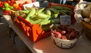 San Diego County Farmers Market Guide 2026: Where To Go, What To Know