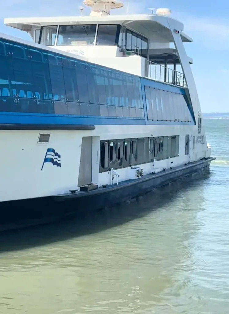 There were no reported injuries. But some passengers were left traumatized by the experience. @gennnalc/TikTok