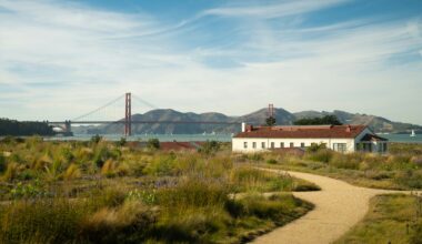 AI Boom Drives Race for Homes in San Francisco Suburbs