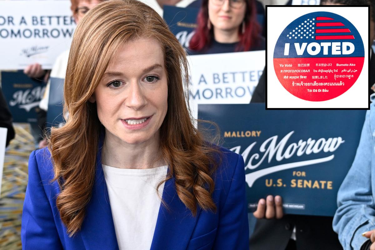 Democrat Mallory McMorrow voted in California after allegedly moving to Michigan