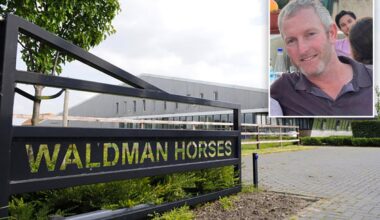 California dad claims Dutch horse trader knowingly sold lame $475K equine