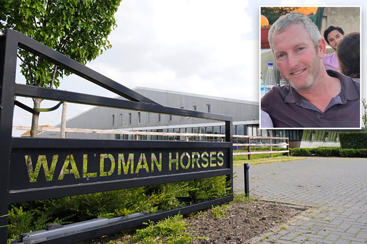 California dad claims Dutch horse trader knowingly sold lame $475K equine