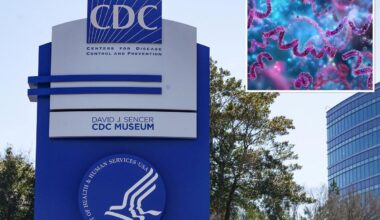 Syphilis spikes in California as health chiefs warn sexually active to urgently get tested