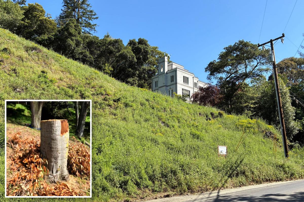 California couple hit with staggering fine for cutting down trees on their own property