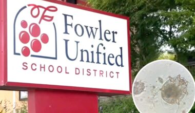 Suspected scabies cases reported in Fresno County’s Fowler Unified School District