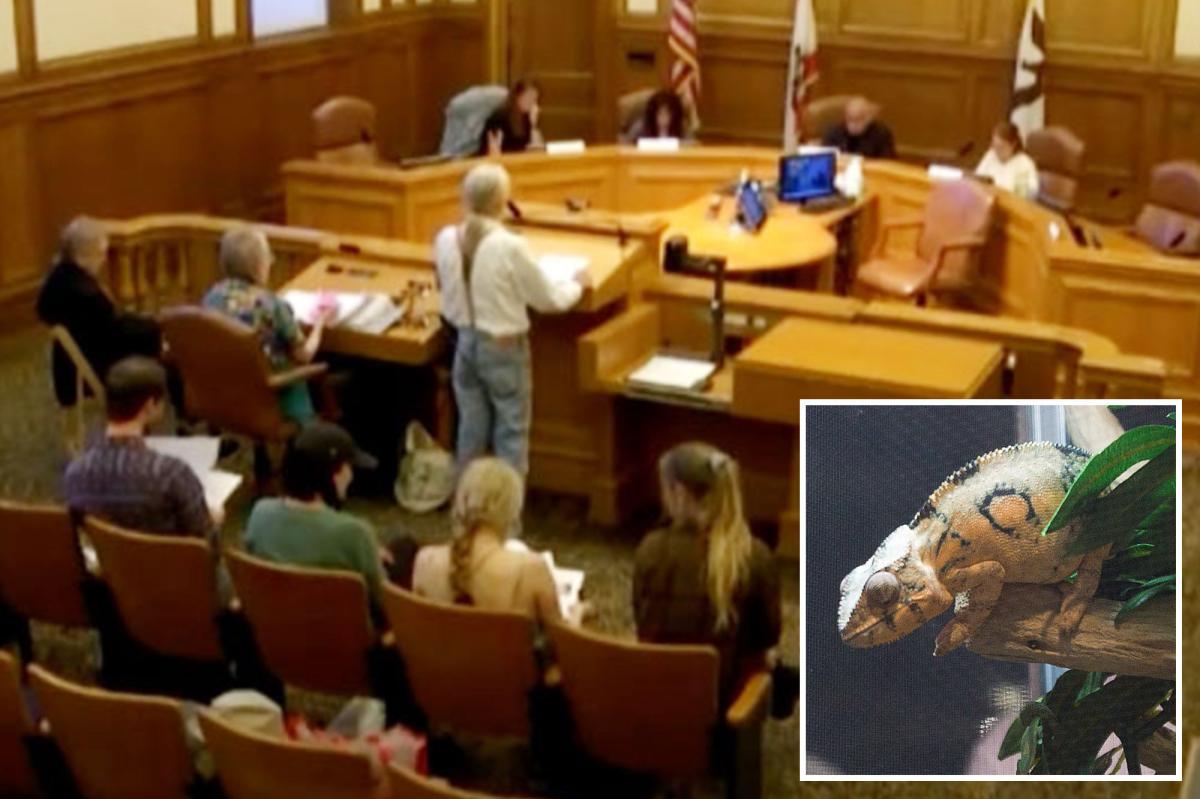 SF pet store owners prepare to fight as city plots ban on sale of live animals