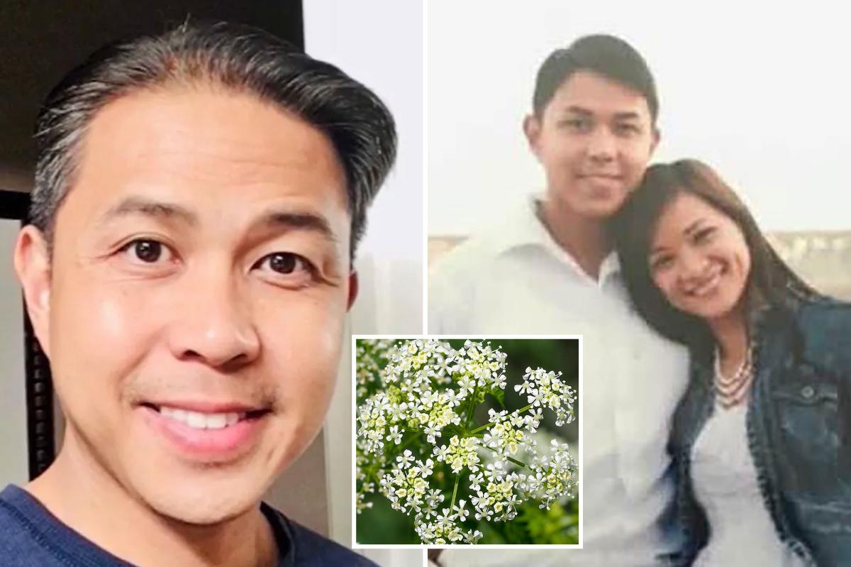 San Diego murder trial of missing wife involves alleged plant poison
